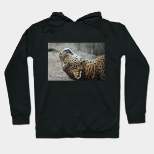 Have You Ever Had One Of Those Days, Where You Just Can't Get Out Of Bed? Hoodie